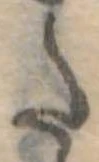 𛁠 위치 확인됨