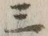 글자 三