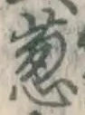 글자 葱