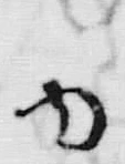 字其