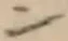 字ン