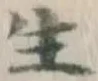 𡨸生