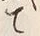 Character で
