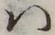 Đã định vị 𛂞