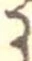 位置 確認된 𛂌