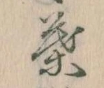 位置定マレル葉