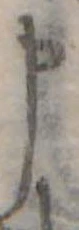申 위치 확인됨