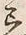 文字着