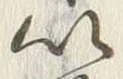 文字以