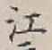 글자 江