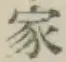 Chữ 家