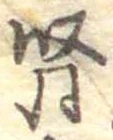 腎 위치 확인됨