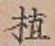 글자 植