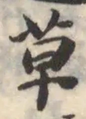 草 위치 확인됨