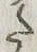 字た
