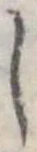 𛁅 위치 확인됨