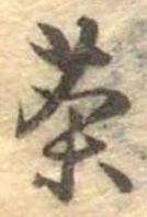 茶 위치 확인됨