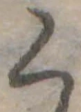 く 위치 확인됨