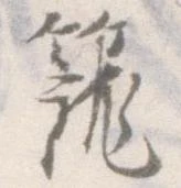 籠 위치 확인됨