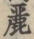 Đã định vị 麗