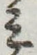 位置定マレル未定