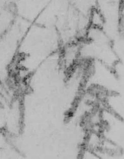 借の位置