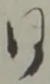 Đã định vị 同