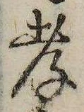 Đã định vị 孝
