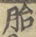 字胎