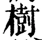 “樹”字