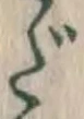 文字だ