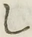 Chữ し