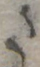 さ 위치 확인됨