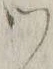 文字 ツ