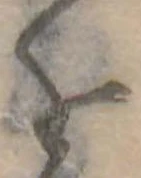 を 위치 확인됨