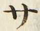 글자 サ