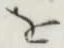 文字 を