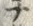文字魚