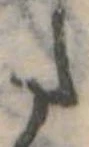 𛁠 위치 확인됨