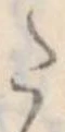 Đã định vị 𛁠