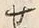 文字廿
