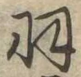 羽 위치 확인됨
