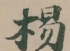 楊の位置