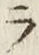 글자 ラ