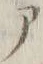 文字 ア