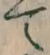 글자 て