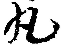 已定位丸