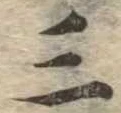 位置 確認된 三