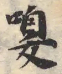 嗅の位置