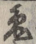 兎 위치 확인됨